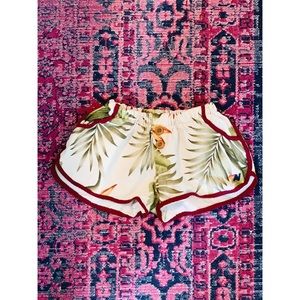 AVIATOR NATION VINTAGE JOGGER